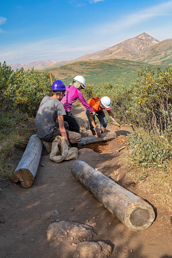 Hiking trail maintenance in the Colorado Rockies