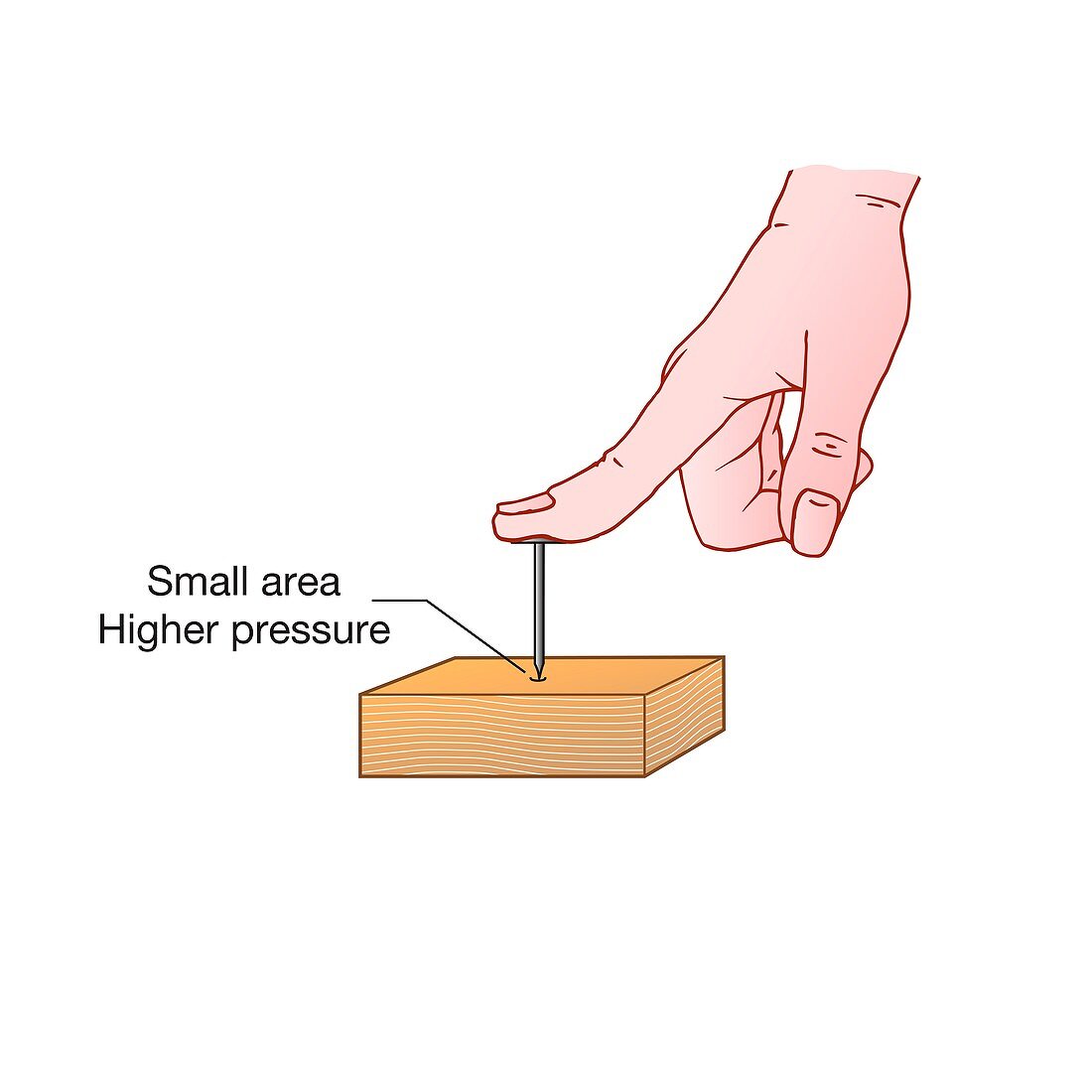 Pressure exerted by finger pushing a nail into wood, illustr