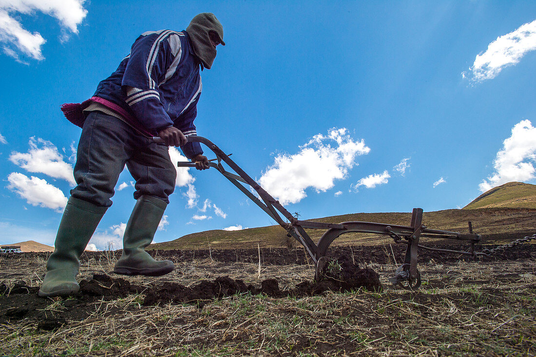 Farmer pushing a plow, Somenkong, Lesotho