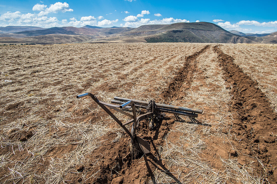 A farm plow in a furrow on farmland, Somenkong, Lesotho