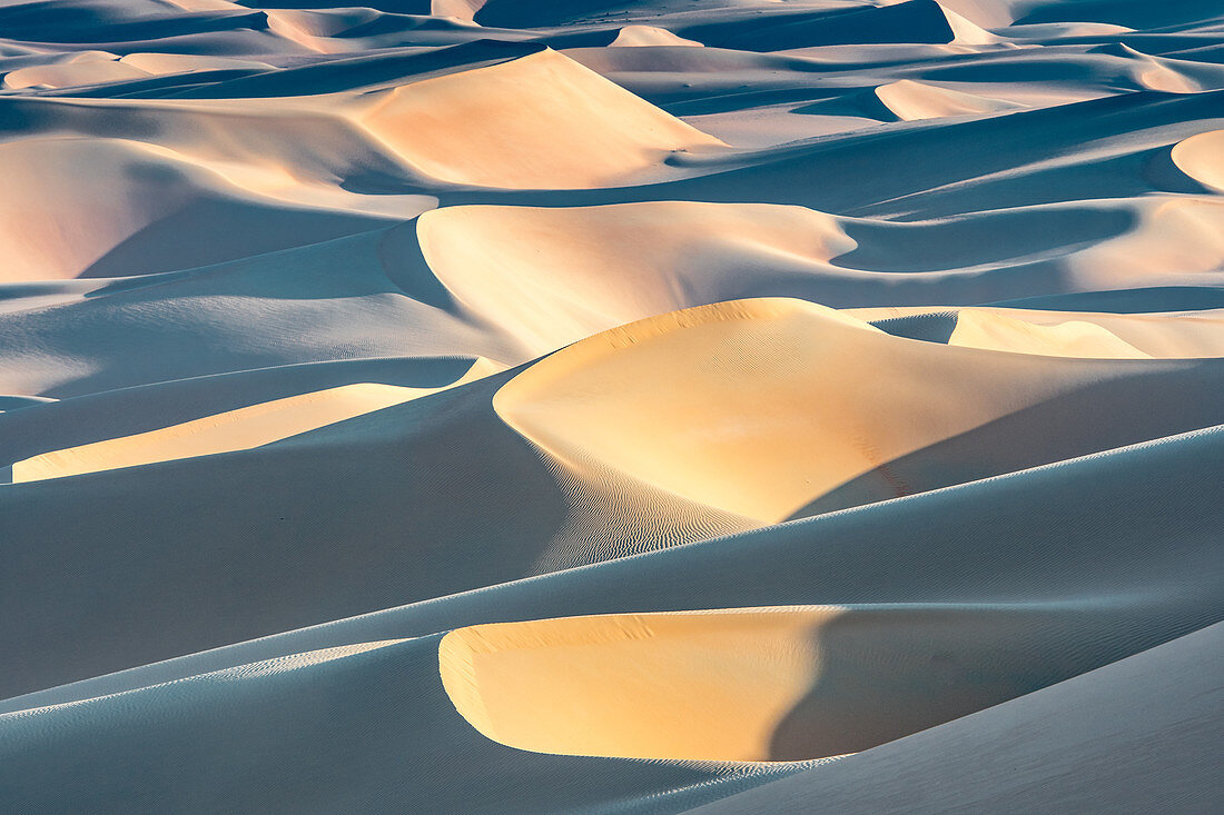 Sand dunes in desert, Liwa Oasis, Abu Dhabi, UAE