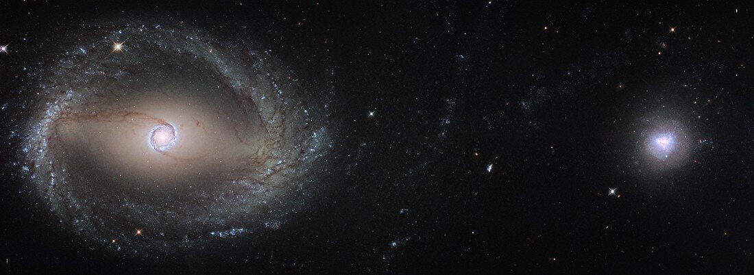 Colliding galaxies NGC 1512 and NGC 1510, HST image