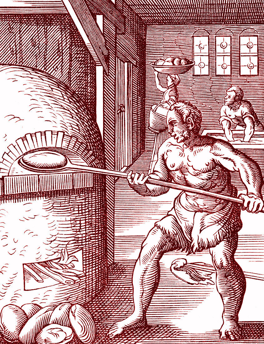 16th Century baker, illustration