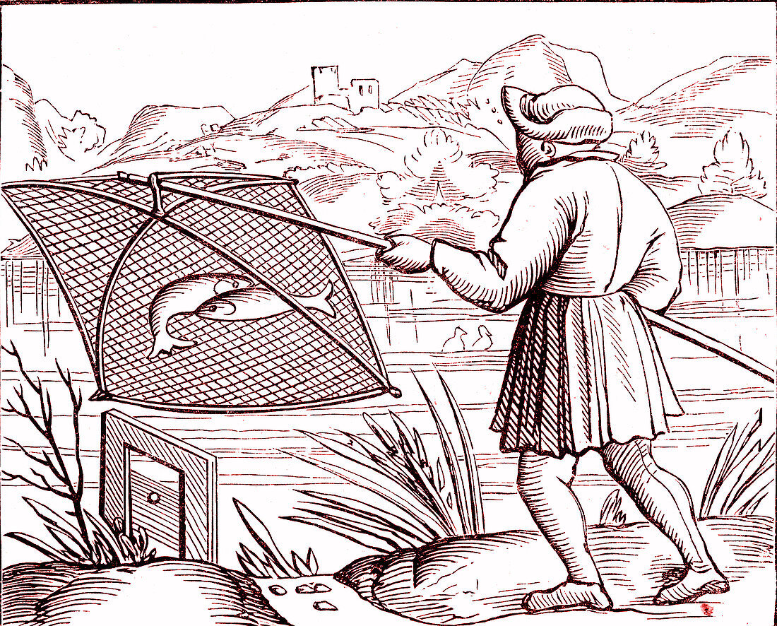 16th Century fisherman, illustration