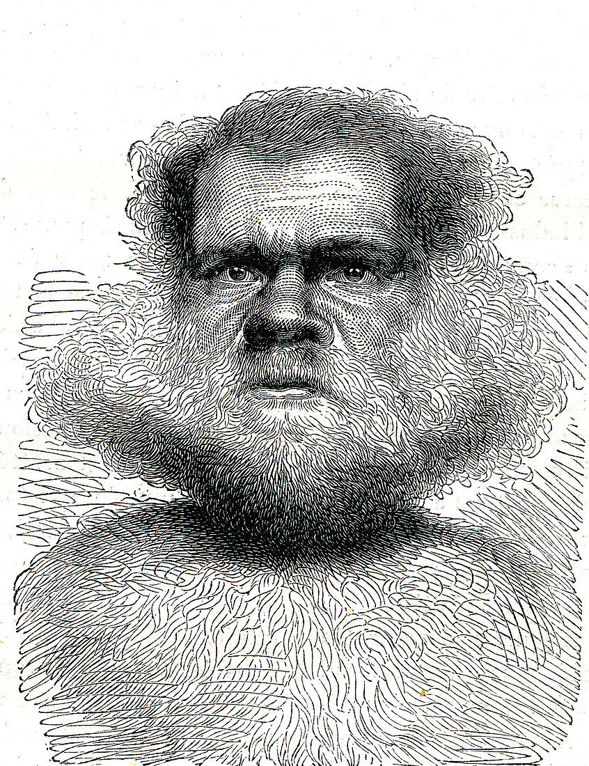 19th Century Tasmanian man, illustration