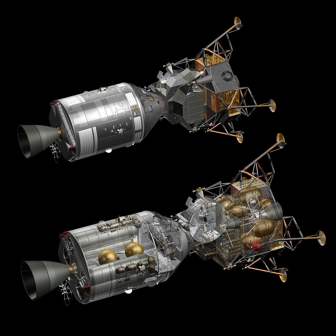Apollo LM and CSM spacecraft, illustration