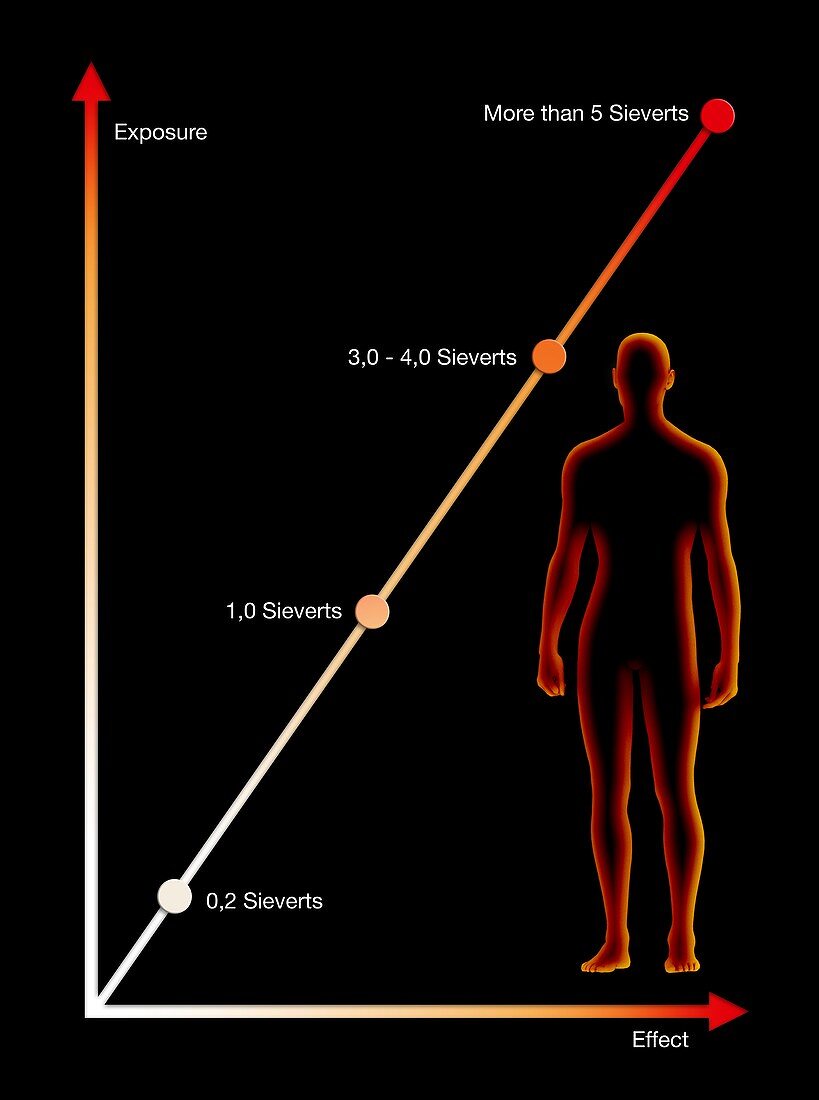 Radiation exposure effects on humans, illustration