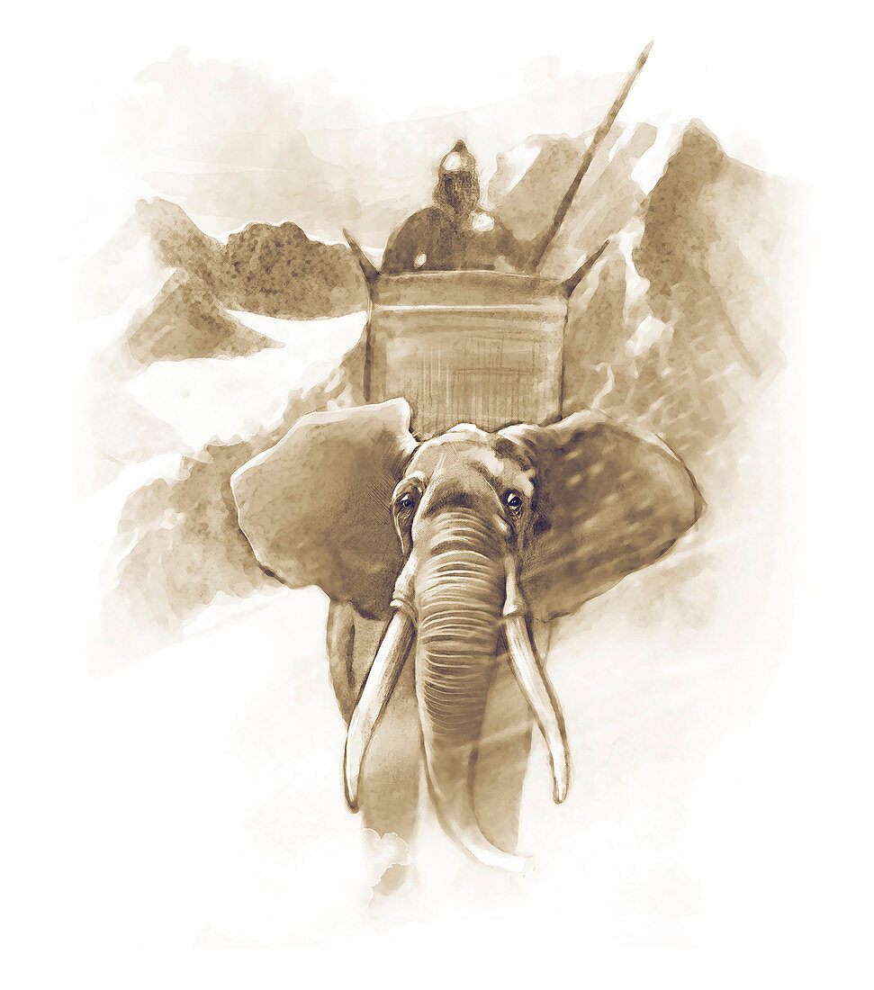 Hannibal mounted on a war elephant, 218 BC