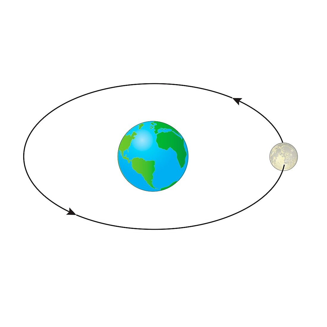 The Moon orbiting Earth, illustration