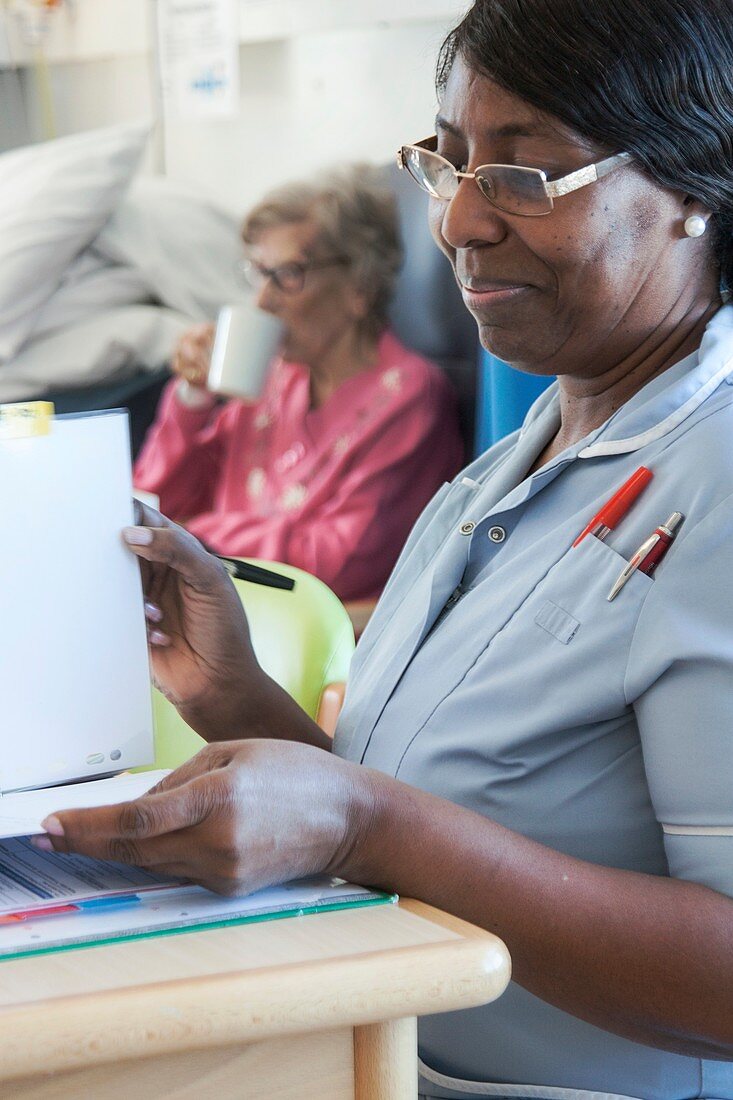 Healthcare assistant checking patient notes
