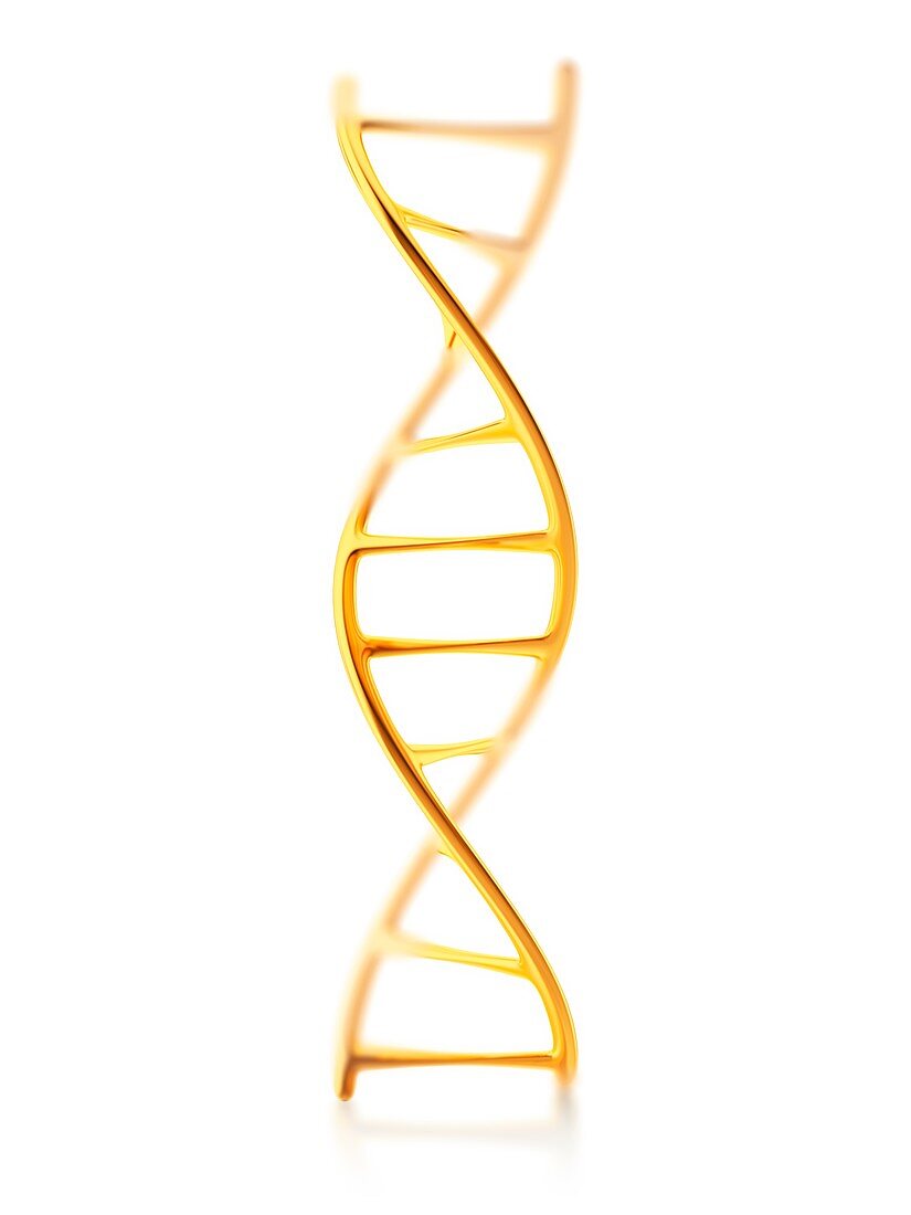 Fragment of human DNA molecule, illustration
