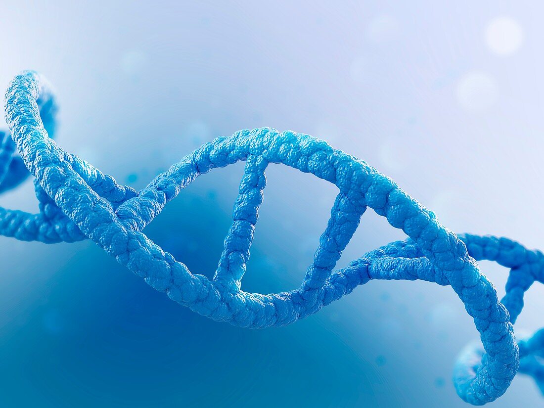 DNA molecule, illustration