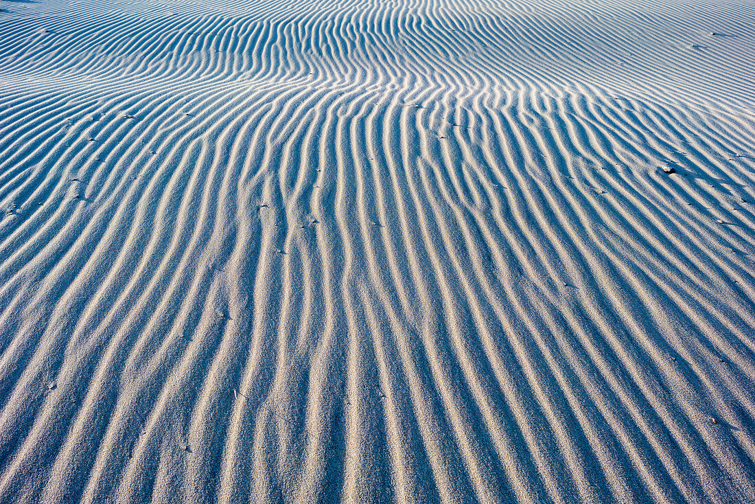 Close-up of a sand dune at sunset