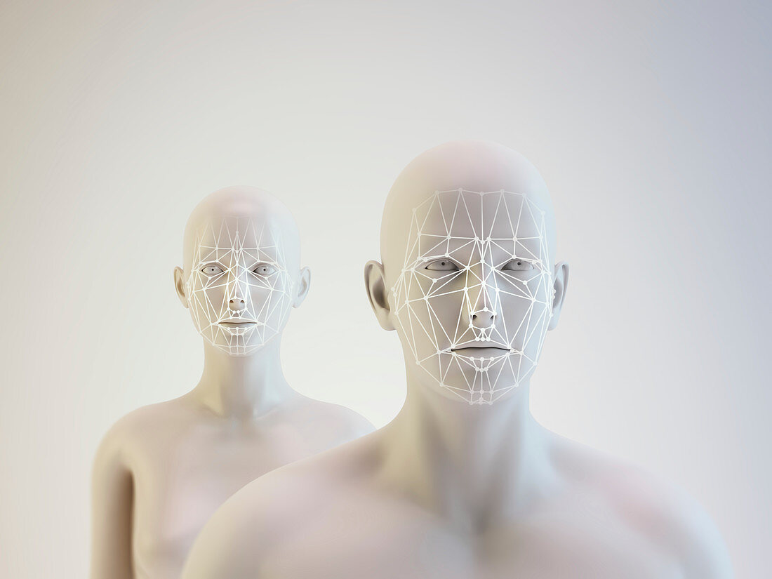 Androids and facial mapping, illustration