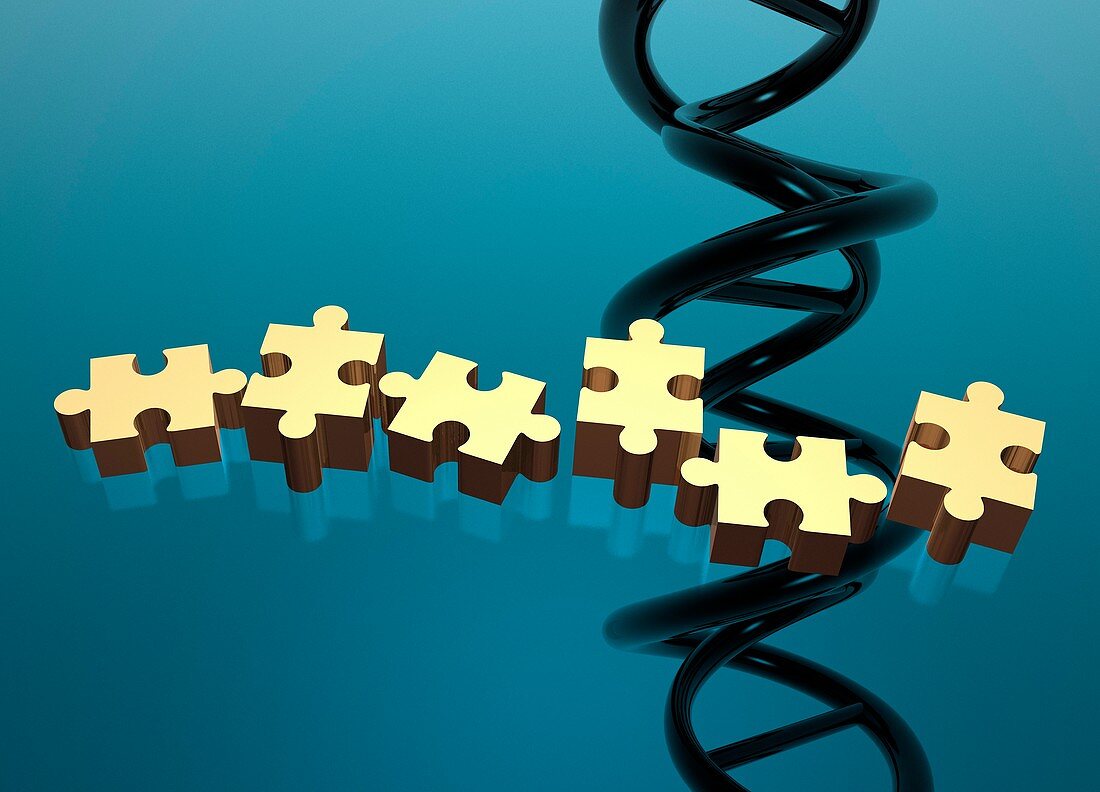 Jigsaw pieces and dna strand, illustration