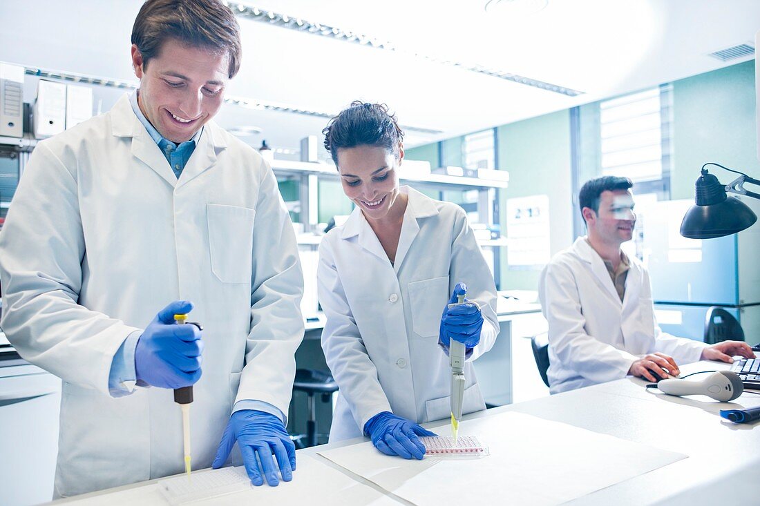 Scientists using pipettes in the laboratory