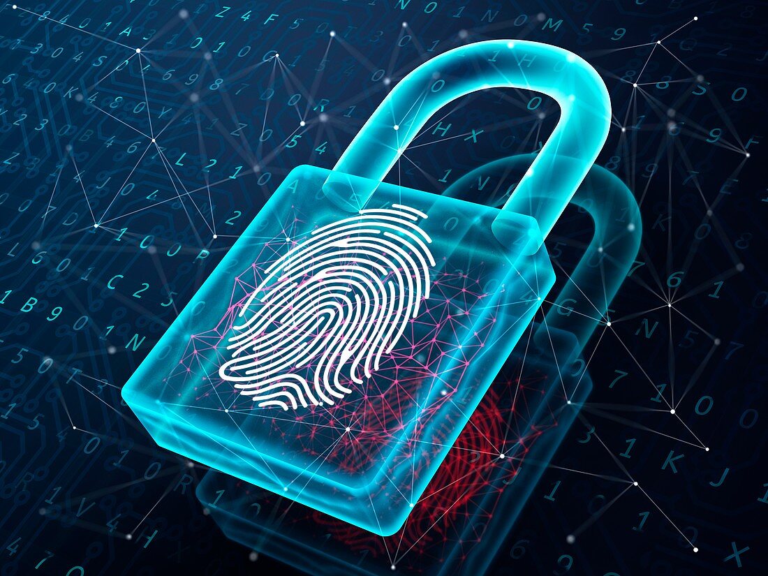 Fingerprint authentication technology, illustration