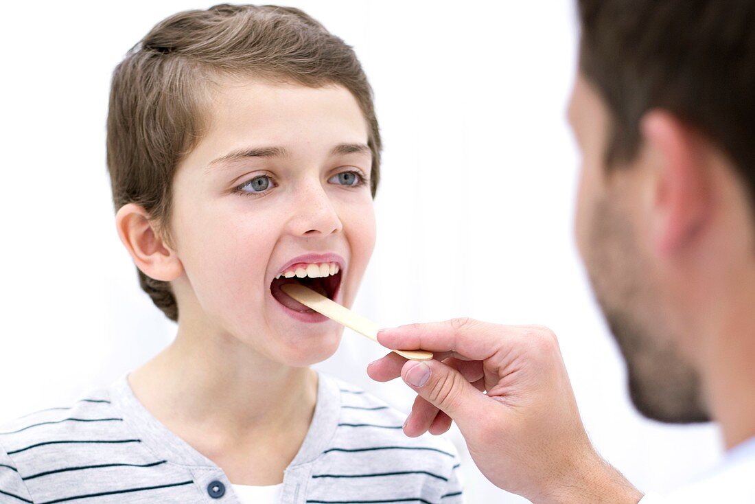 Doctor using tongue depressor, looking into boy's mouth