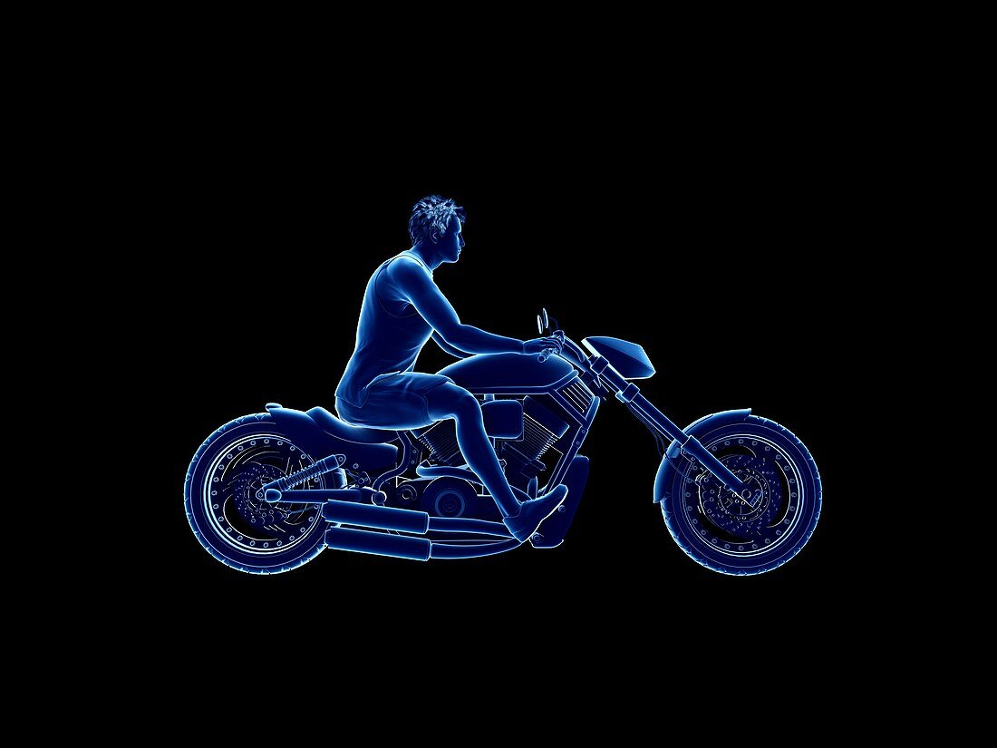 Illustration of a biker