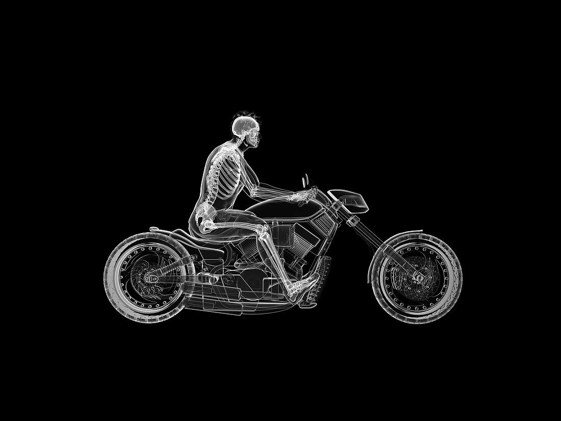Illustration of a biker's skeleton