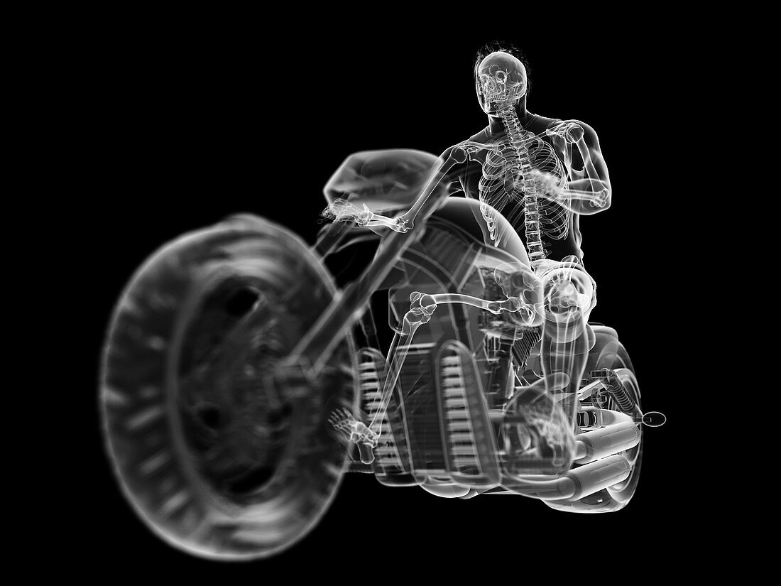 Illustration of a biker's skeleton