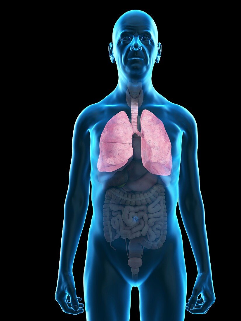 Illustration of an old man's lung