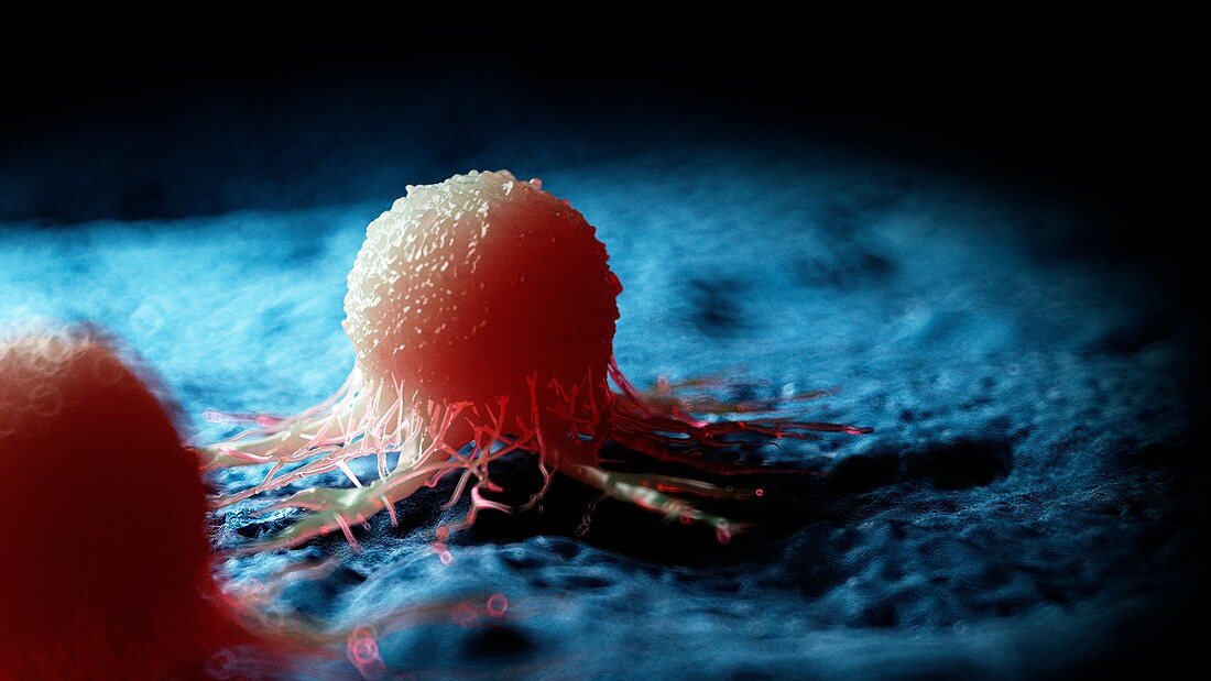 Illustration of a cancer cell