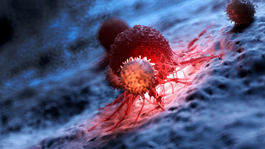 Illustration of white blood cells attacking a cancer cell