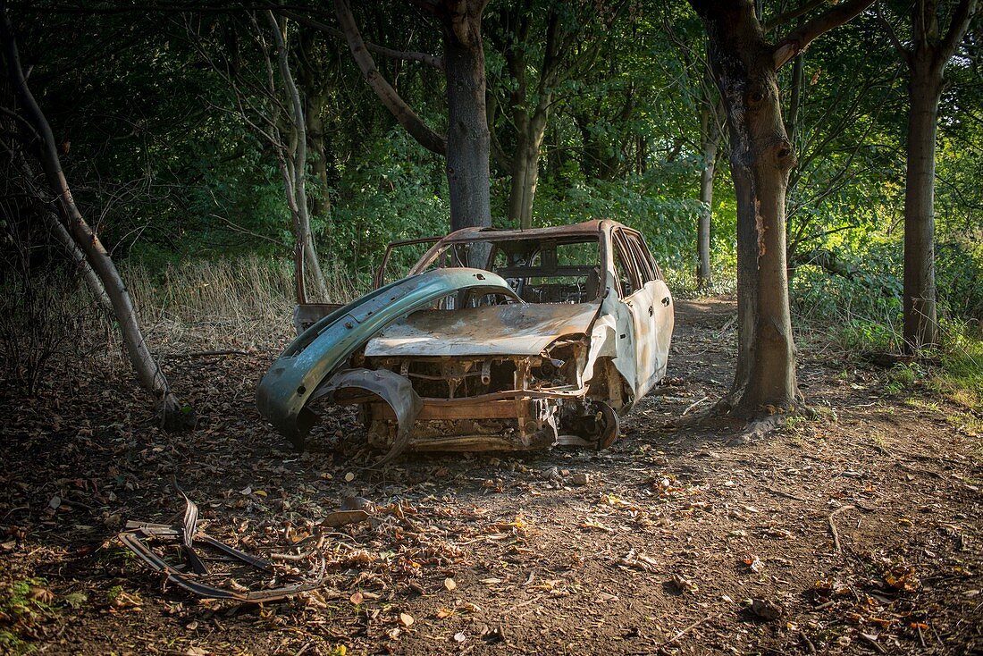 Burnt-out car in woodland