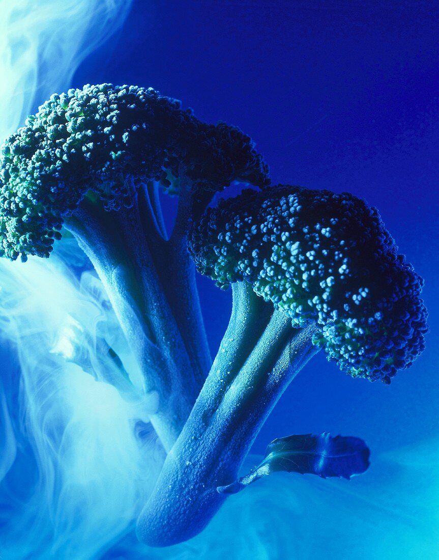Gefrorener Brokkoli mit kaltem Rauch vor blauem Hintergrund