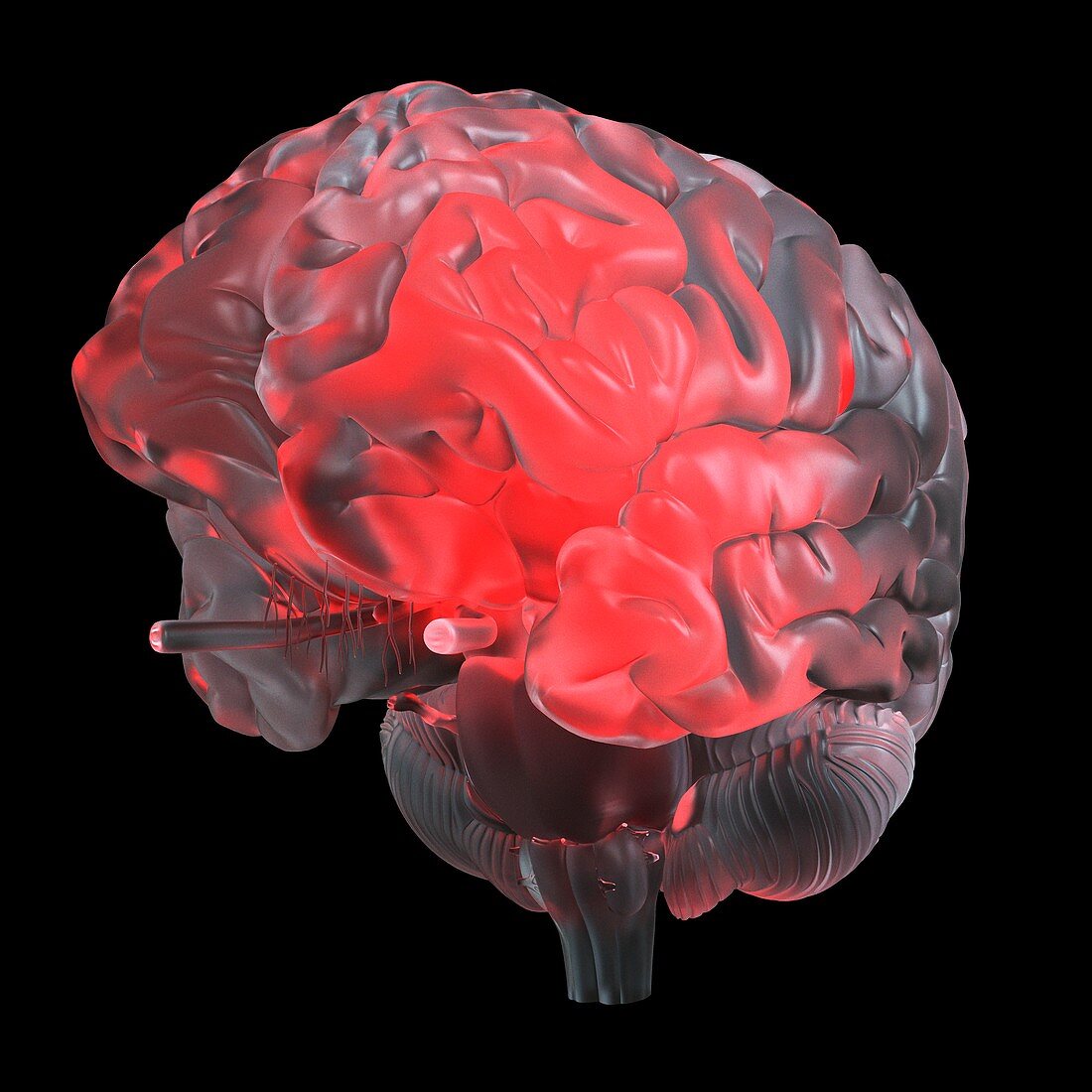 Illustration of a red glowing glass brain