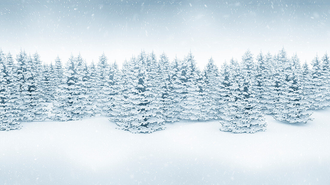 Winter landscape, illustration