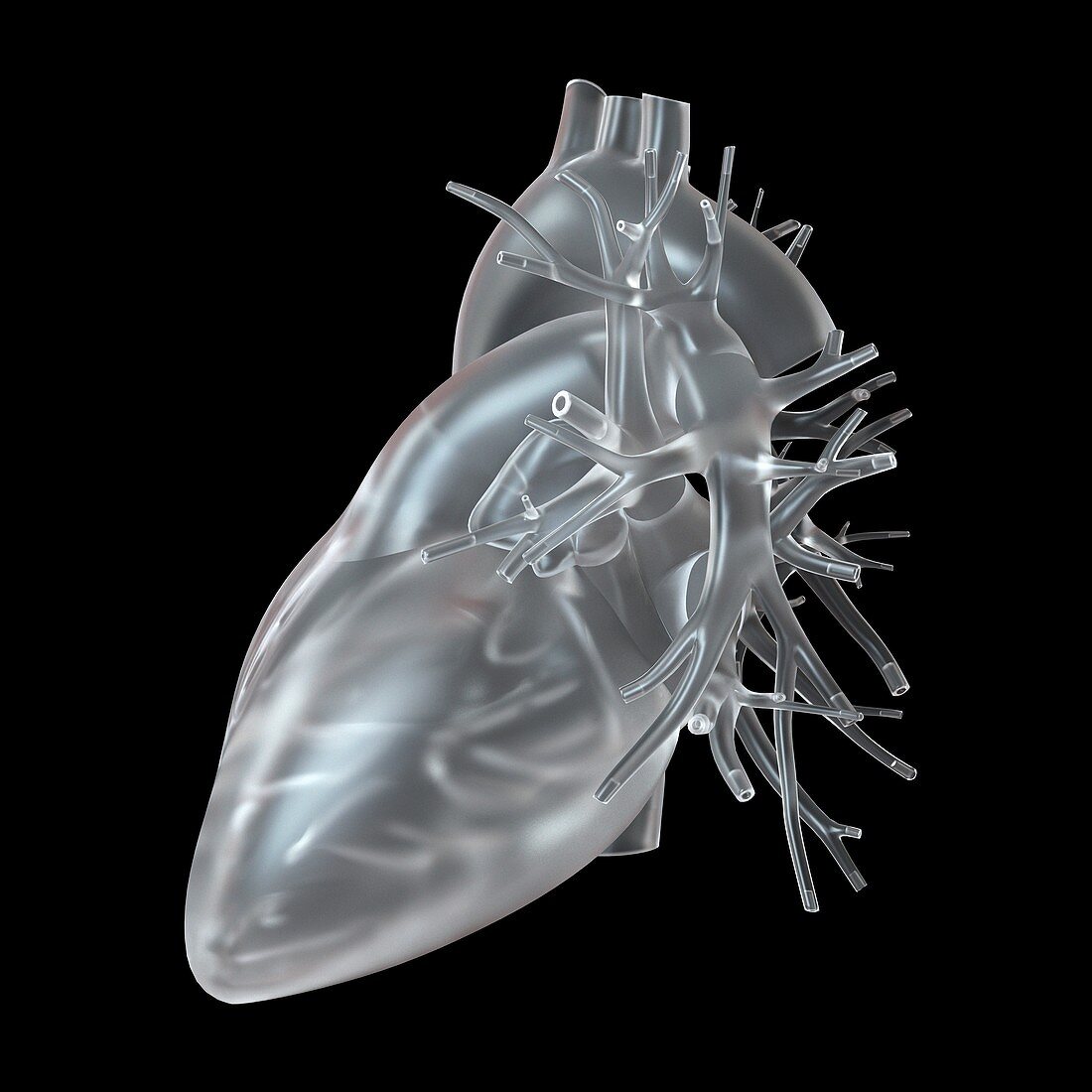 Illustration of glass heart