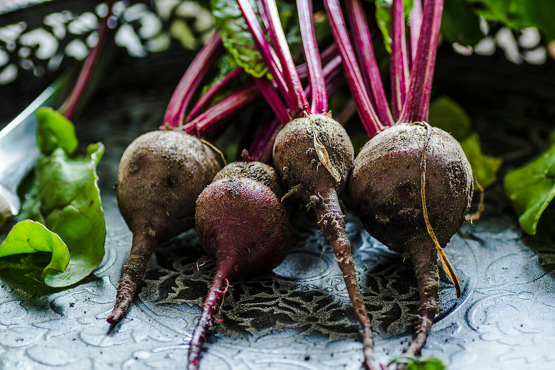 Young beets from home garden