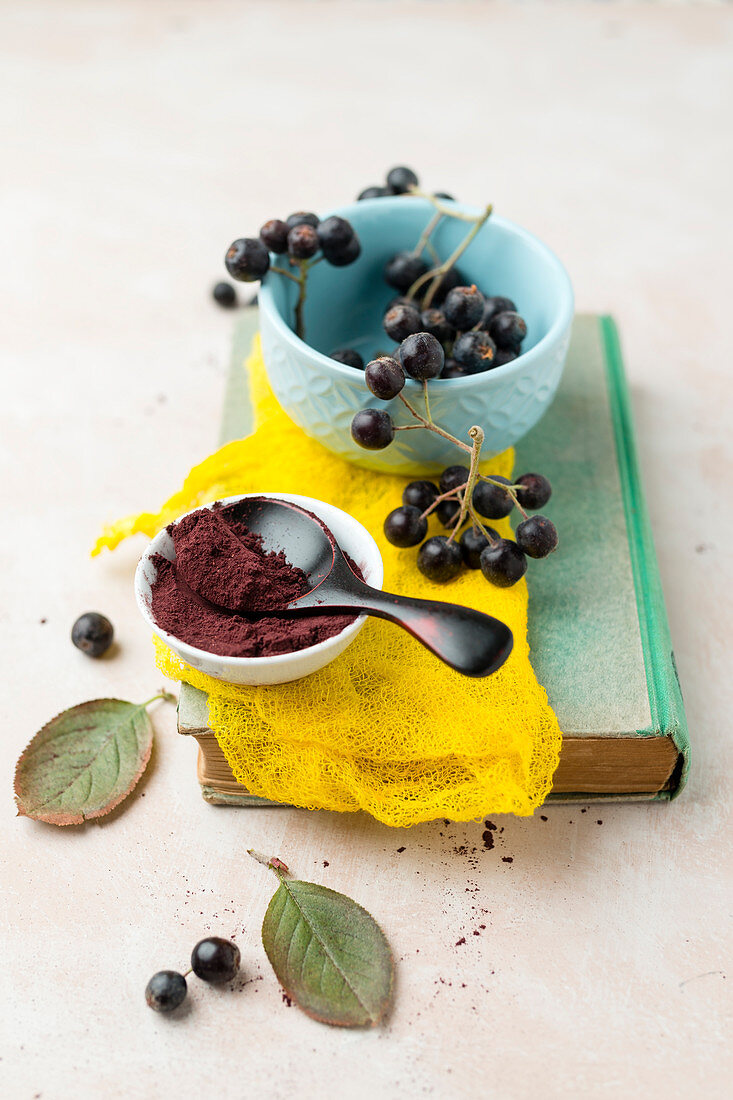Aronia berries and powder on a book