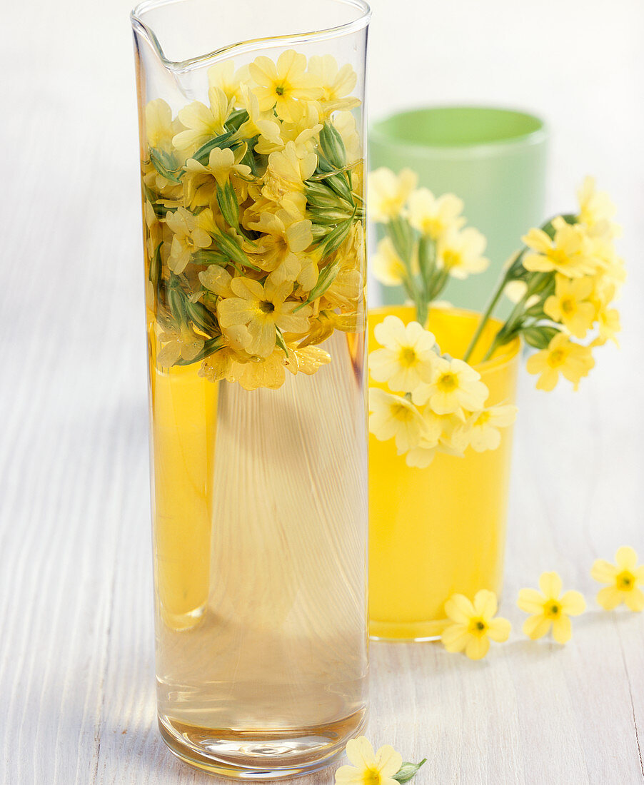 Homemade vinegar with fresh primroses in a test tube