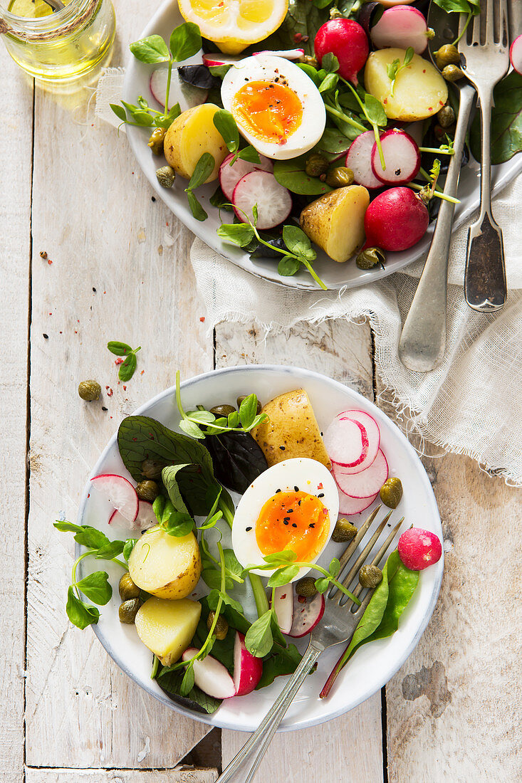 Frühlingssalat mit Kartoffeln, Radieschen und weichem Ei