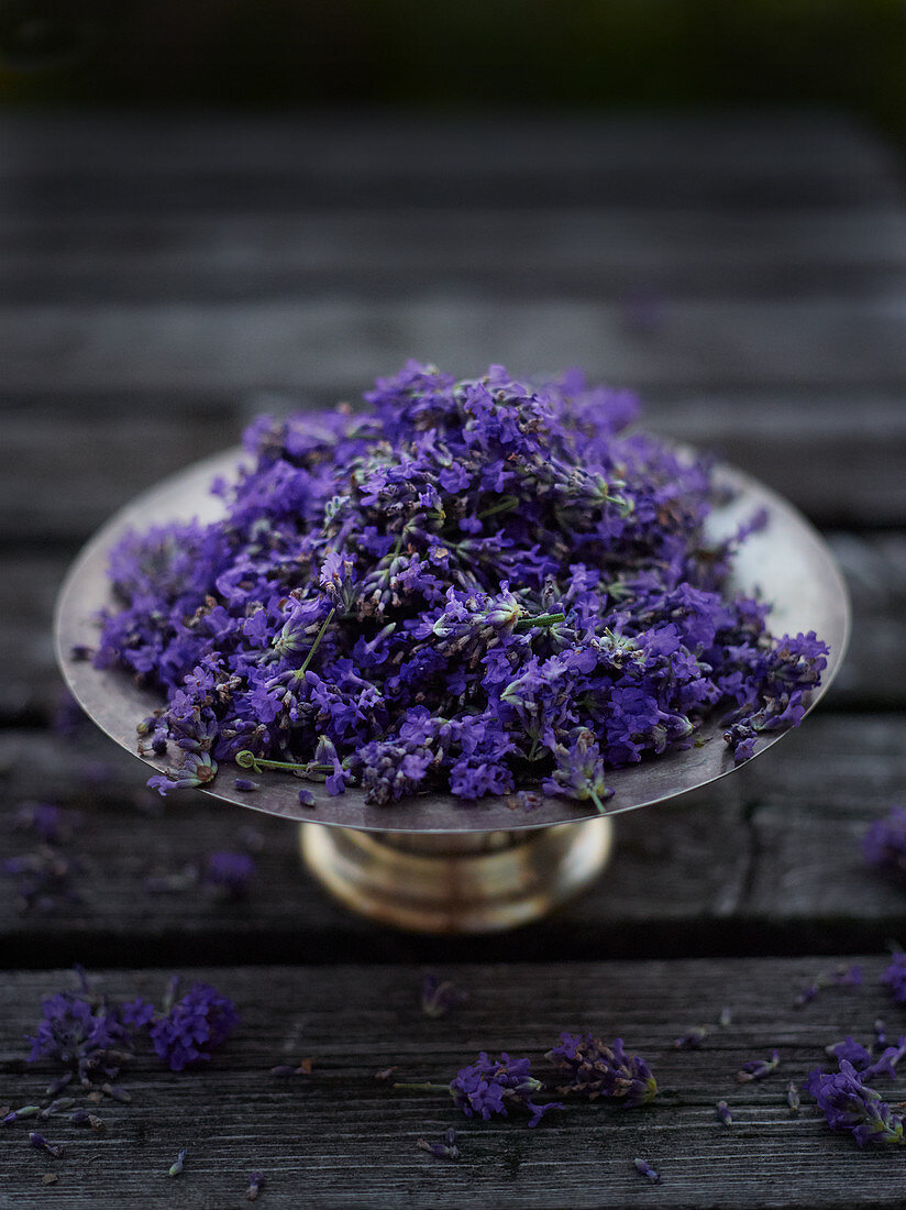 Fresh lavender flowers in a silver bowl on a wooden surface