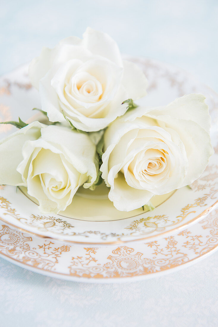 Arrangement of pastel roses on plate