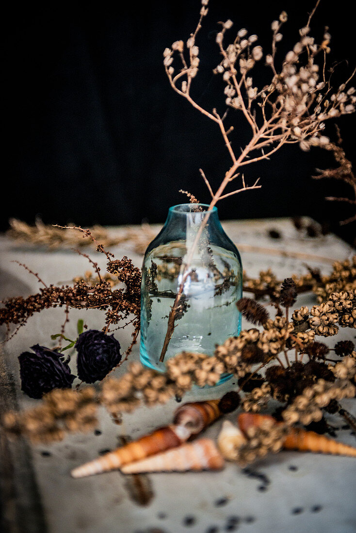 Arrangement of sea snail shells and dried plants