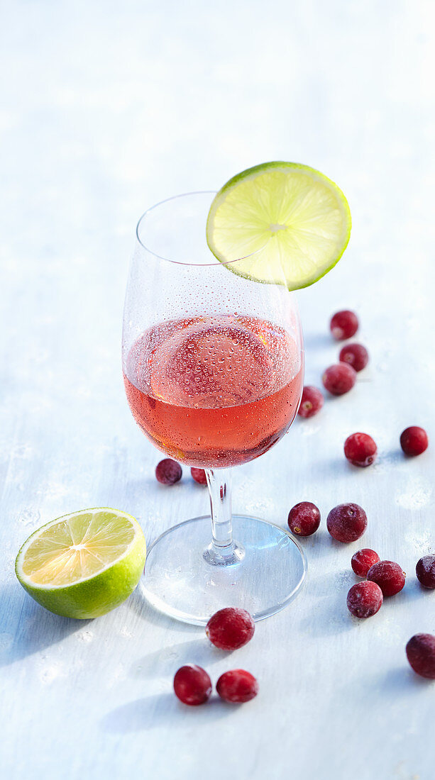 Cranberry martini cocktail with vodka and lime