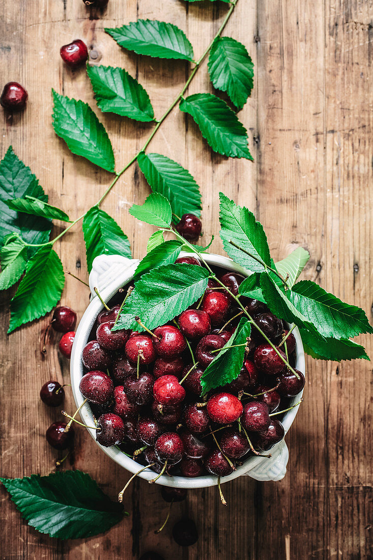 Flat lay of ceramic bowl filled with wet shiny cherry and composed with green leaves on rustic table