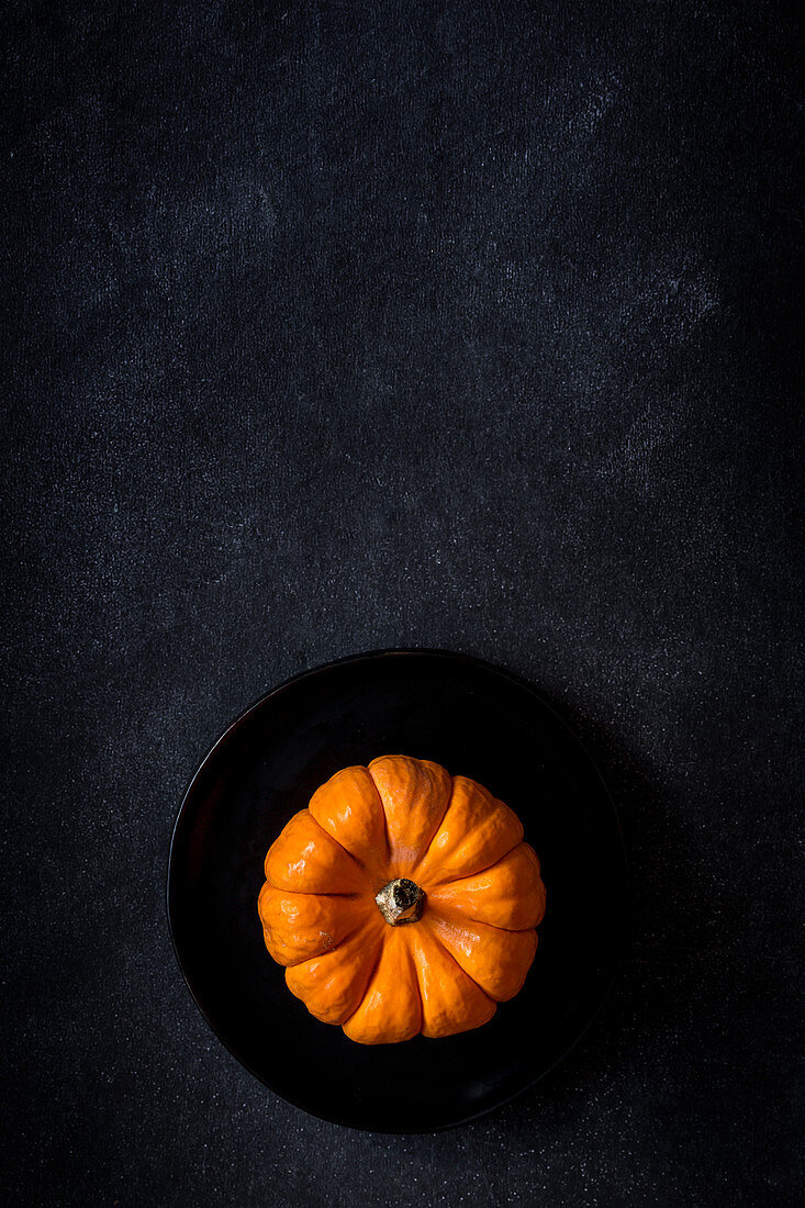 Halloween decoration on dark background