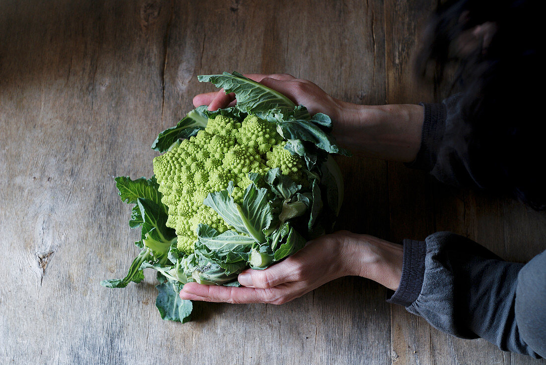 Hände halten frischen Romanesco