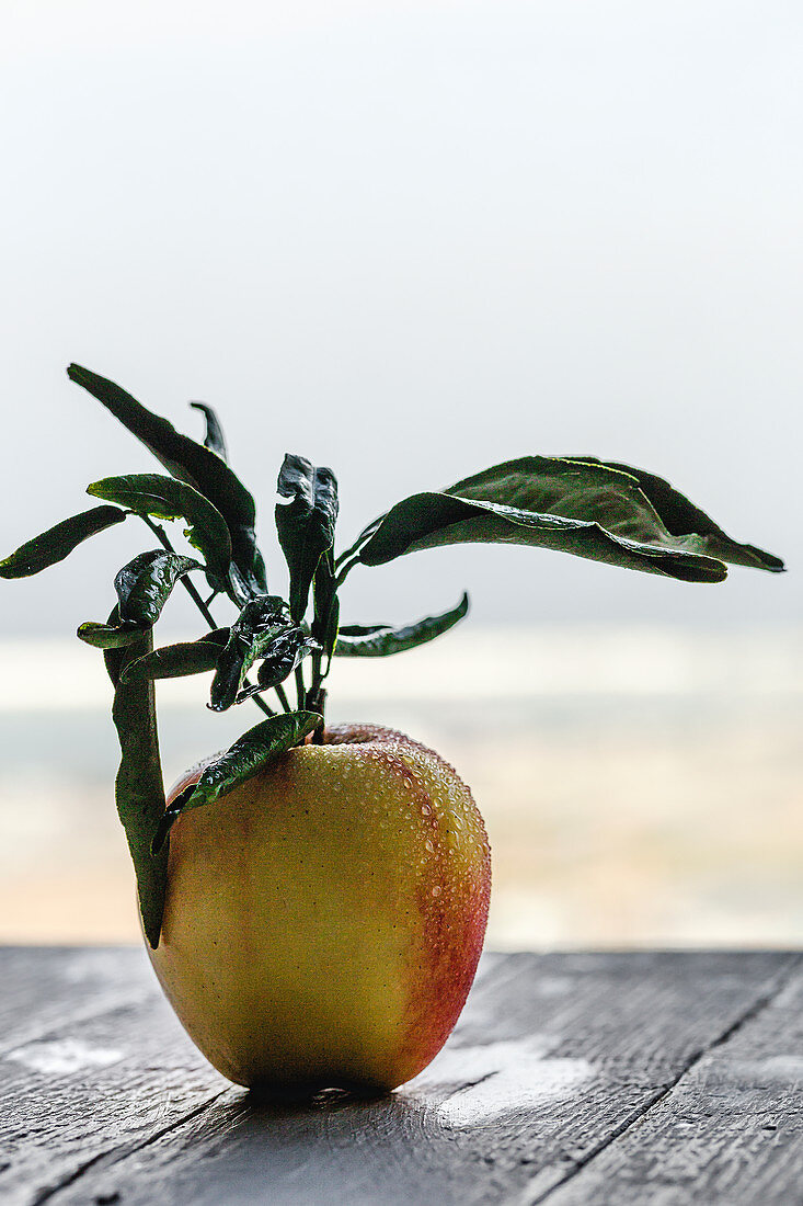 Gelb-roter Apfel mit Blättern vor hellem Hintergrund