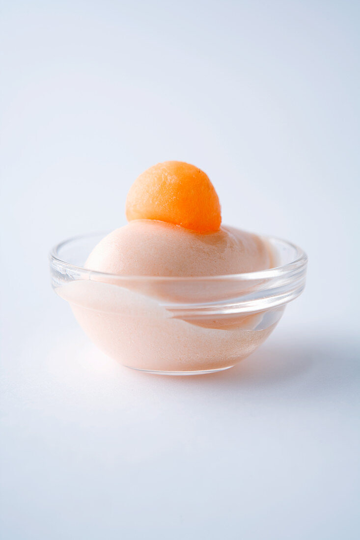 Cavaillon melon sorbet