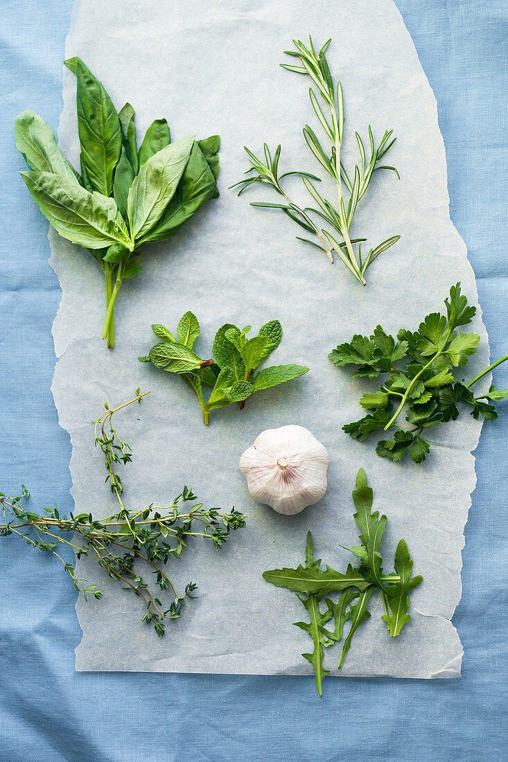 Knoblauch und verschiedene frische Kräuter