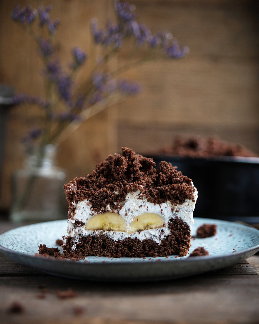 Vegan mole cake (chocolate cake with chocolate crumb cream and bananas)