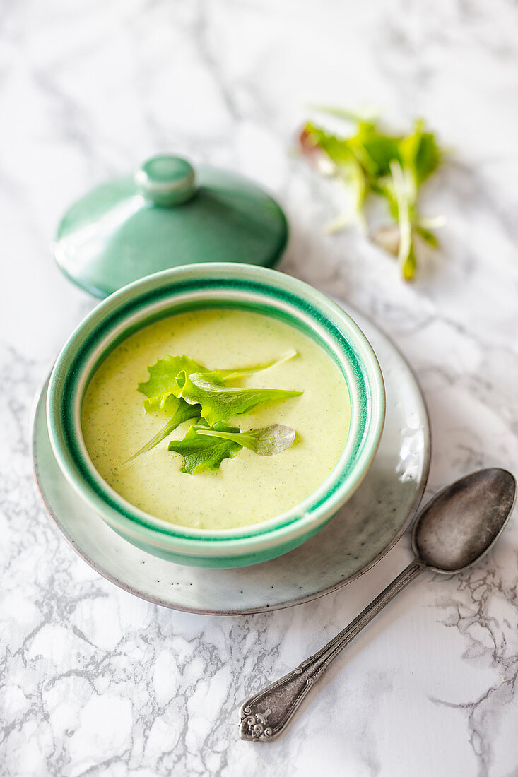 Cream soup from lettuce