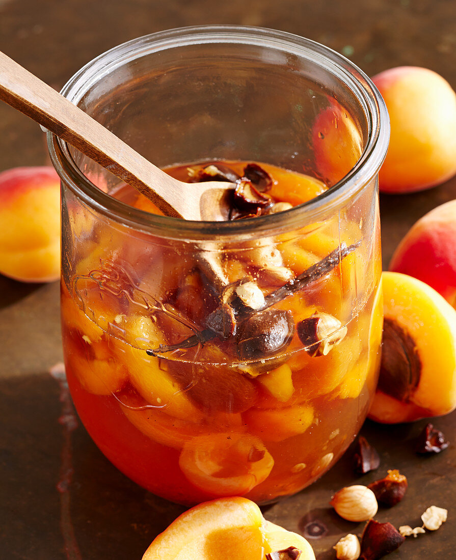 Homemade apricot liqueur with seeds, fruit, vanilla and wine spirit